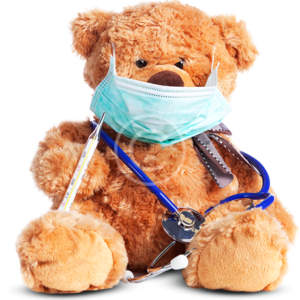 Teddy Bear